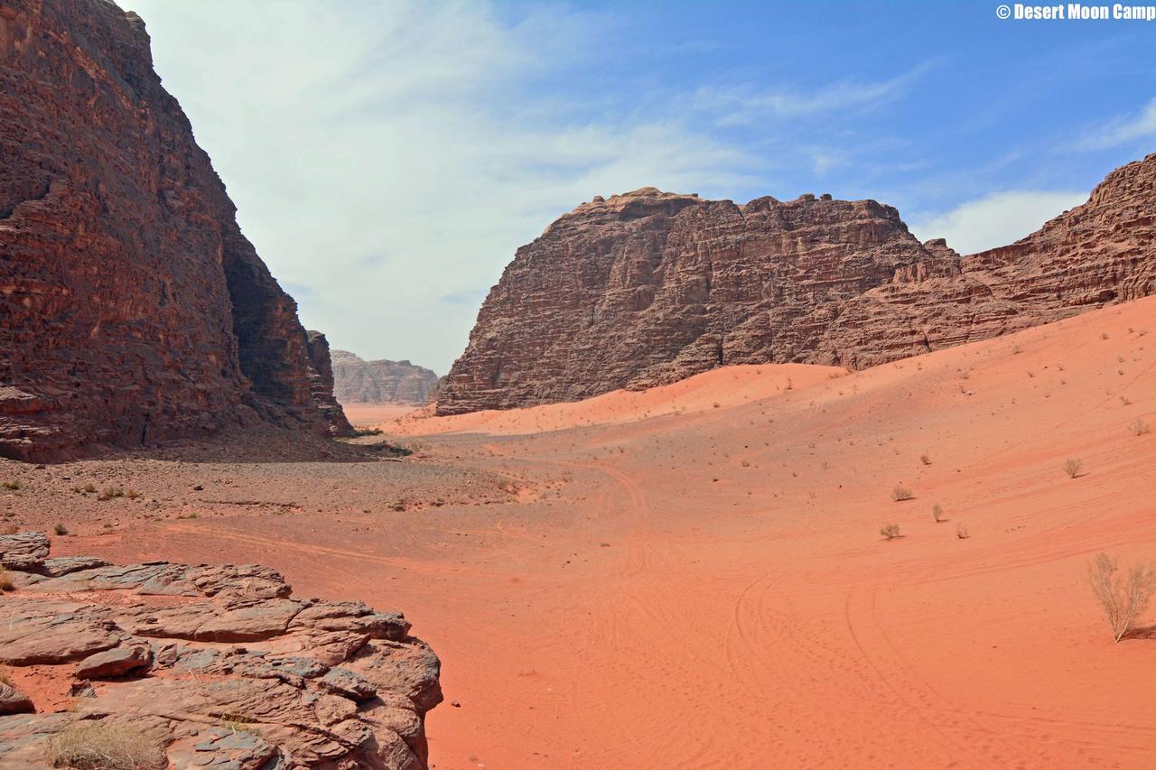 Desert Moon Camp Wadi Rum Exterior foto